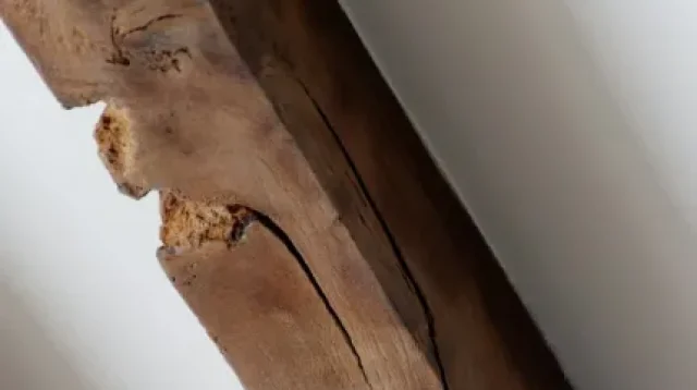 Kenapa Kusen Pintu Jadi Target Favorit Rayap