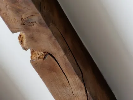 Kenapa Kusen Pintu Jadi Target Favorit Rayap