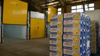 Kenapa Lantai Cold Storage Butuh Pelapis Khusus