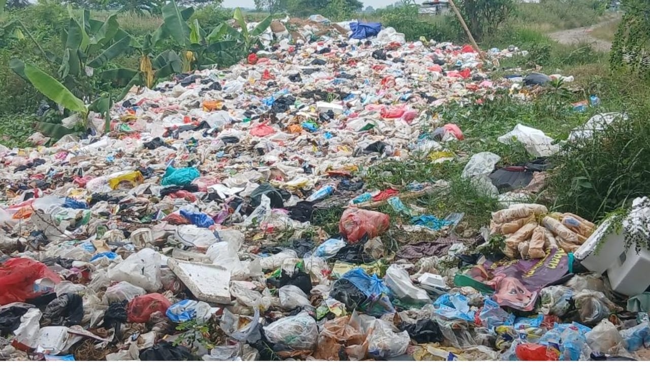 Gunungan Sampah Liar di Sukaringin Bikin Warga Murka, Lalat Hijau dan Bau Menyengat Ancam Kesehatan