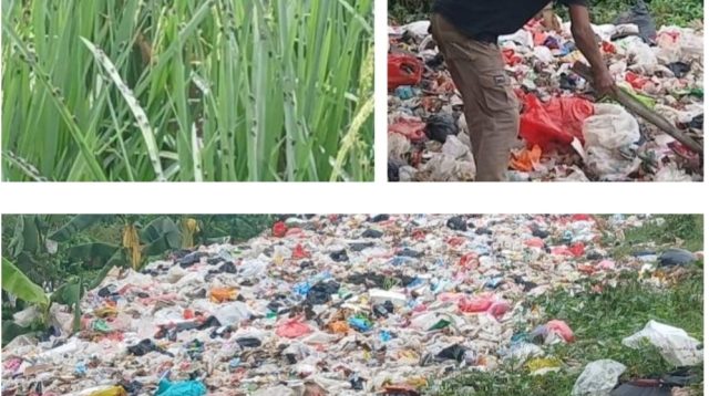 Gunungan Sampah Liar di Sukaringin Bikin Warga Murka, Lalat Hijau dan Bau Menyengat Ancam Kesehatan