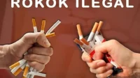 Bea Cukai Gagalkan Penyelundupan 7,8 Juta Batang Rokok Ilegal di Makassar